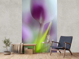 photo-wallpaper-soft-secrets