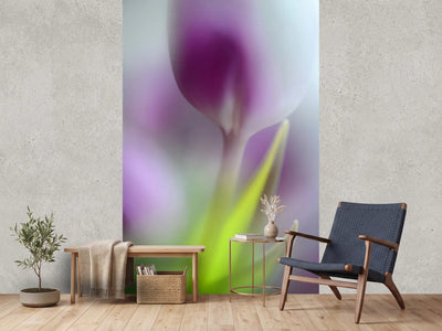 photo-wallpaper-soft-secrets
