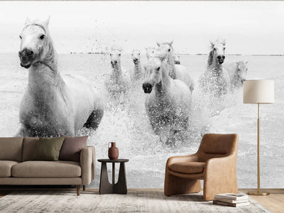 photo-wallpaper-wild-white-horses-running