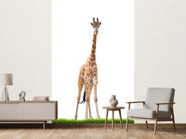 photo-wallpaper-the-long-giraffe