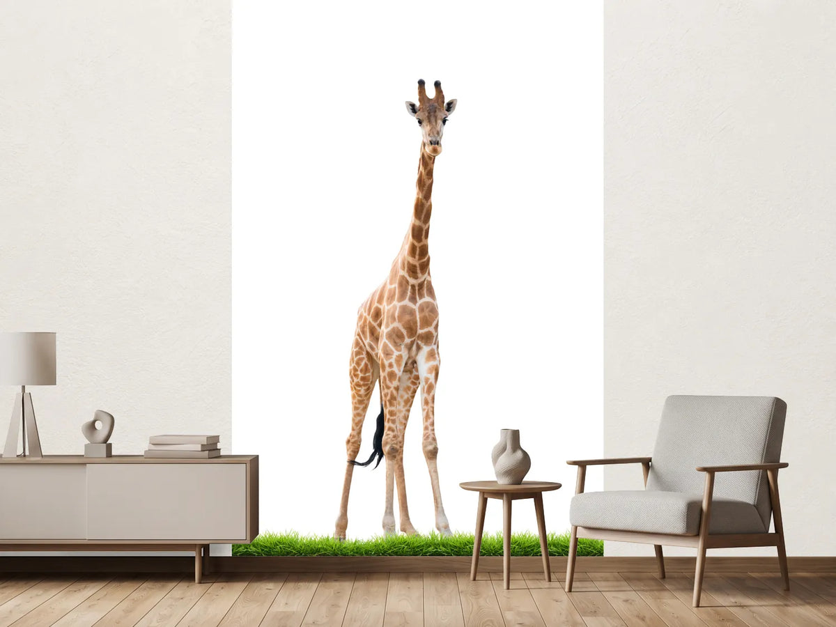 photo-wallpaper-the-long-giraffe