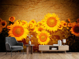 photo-wallpaper-retro-sunflower