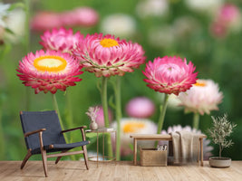 photo-wallpaper-flowers-of-spring