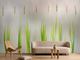 photo-wallpaper-harmony-x