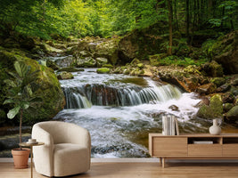 photo-wallpaper-relaxation-at-the-waterfall-ii