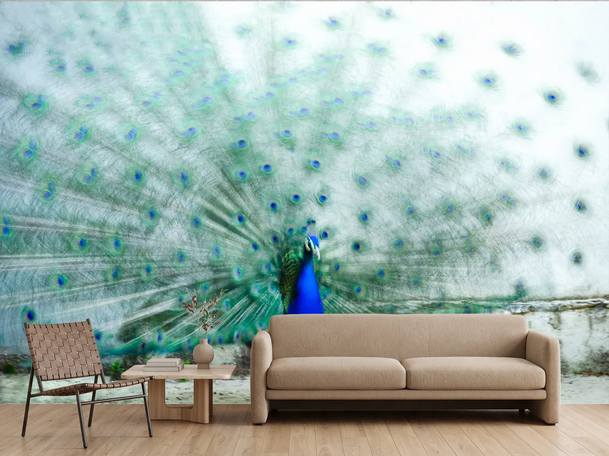 photo-wallpaper-vibrant-peacock-display