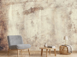 photo-wallpaper-shabby-chic-wall-ii