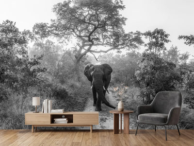 photo-wallpaper-walking-giant-x