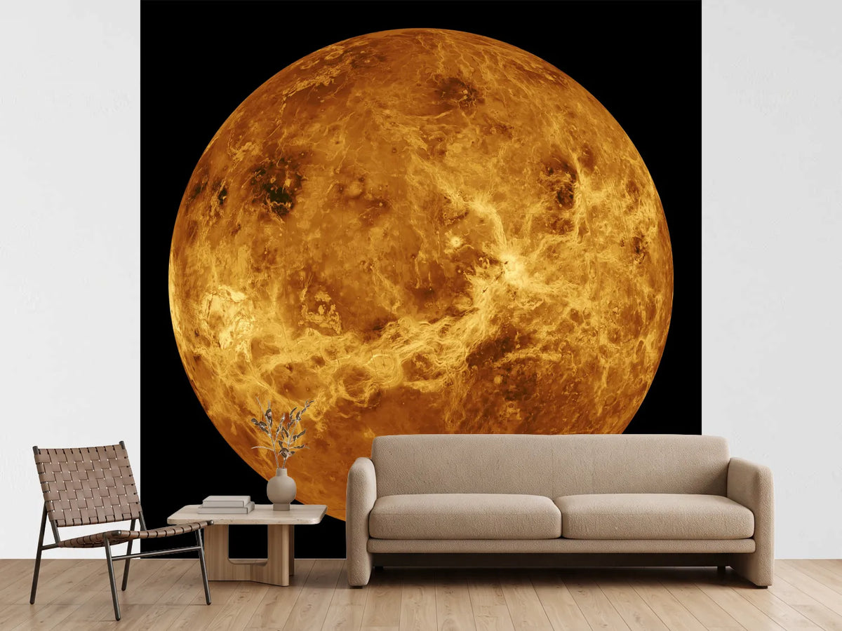 photo-wallpaper-the-venus