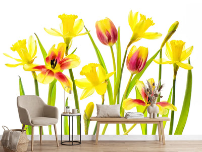 photo-wallpaper-vibrant-spring-x