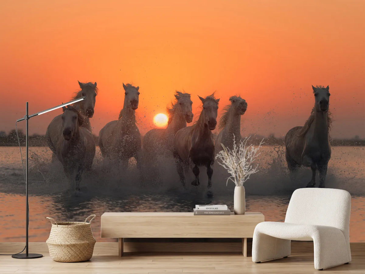 photo-wallpaper-sunset-in-camargue-x