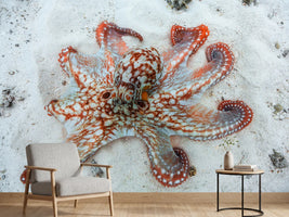 photo-wallpaper-octopus-a