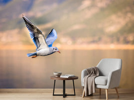 photo-wallpaper-the-flying-seagull