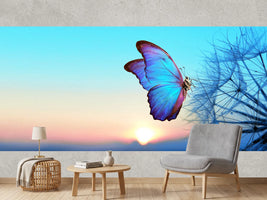 photo-wallpaper-blue-morpho-butterfly-on-a-dandelion-seed-head-at-sunrise