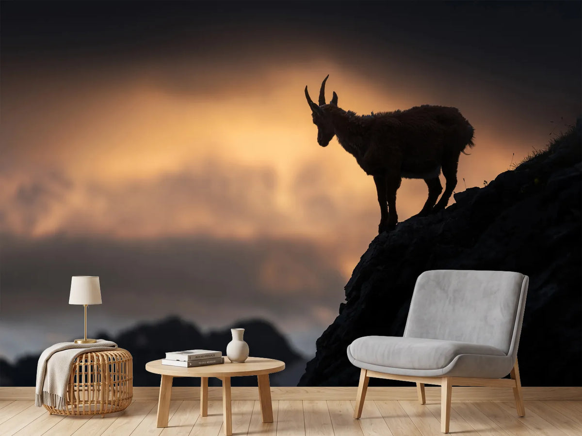 photo-wallpaper-alpine-ibex-x