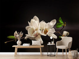 photo-wallpaper-magnolia