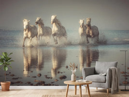 photo-wallpaper-camargue-horses-x