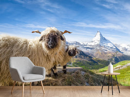photo-wallpaper-sheep-and-peaks-in-valais