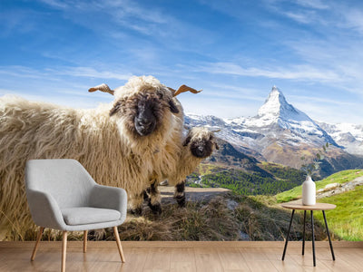 photo-wallpaper-sheep-and-peaks-in-valais