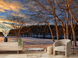 photo-wallpaper-birches-in-the-winter