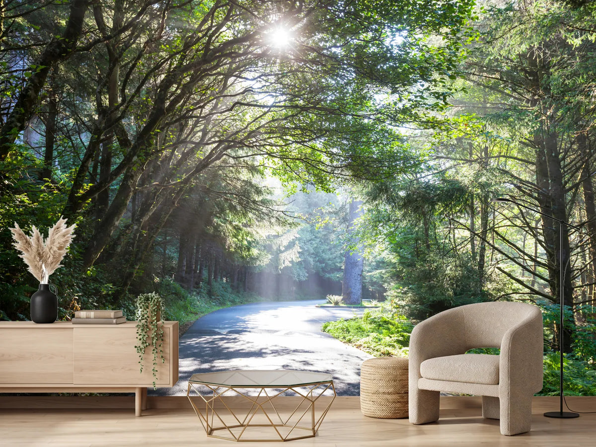 photo-wallpaper-sunny-forest-path