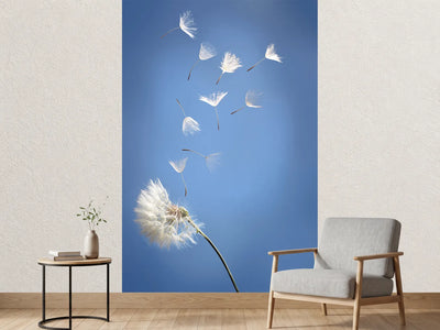 photo-wallpaper-dandelion-xl