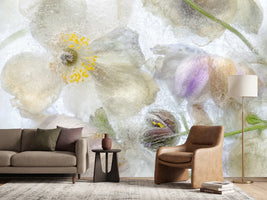 photo-wallpaper-anemone-frost-x