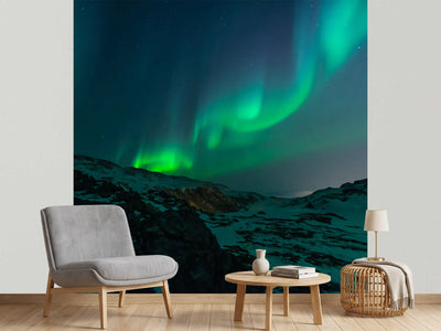 photo-wallpaper-fascination-northern-lights