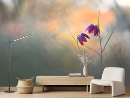 photo-wallpaper-spring-danse-x