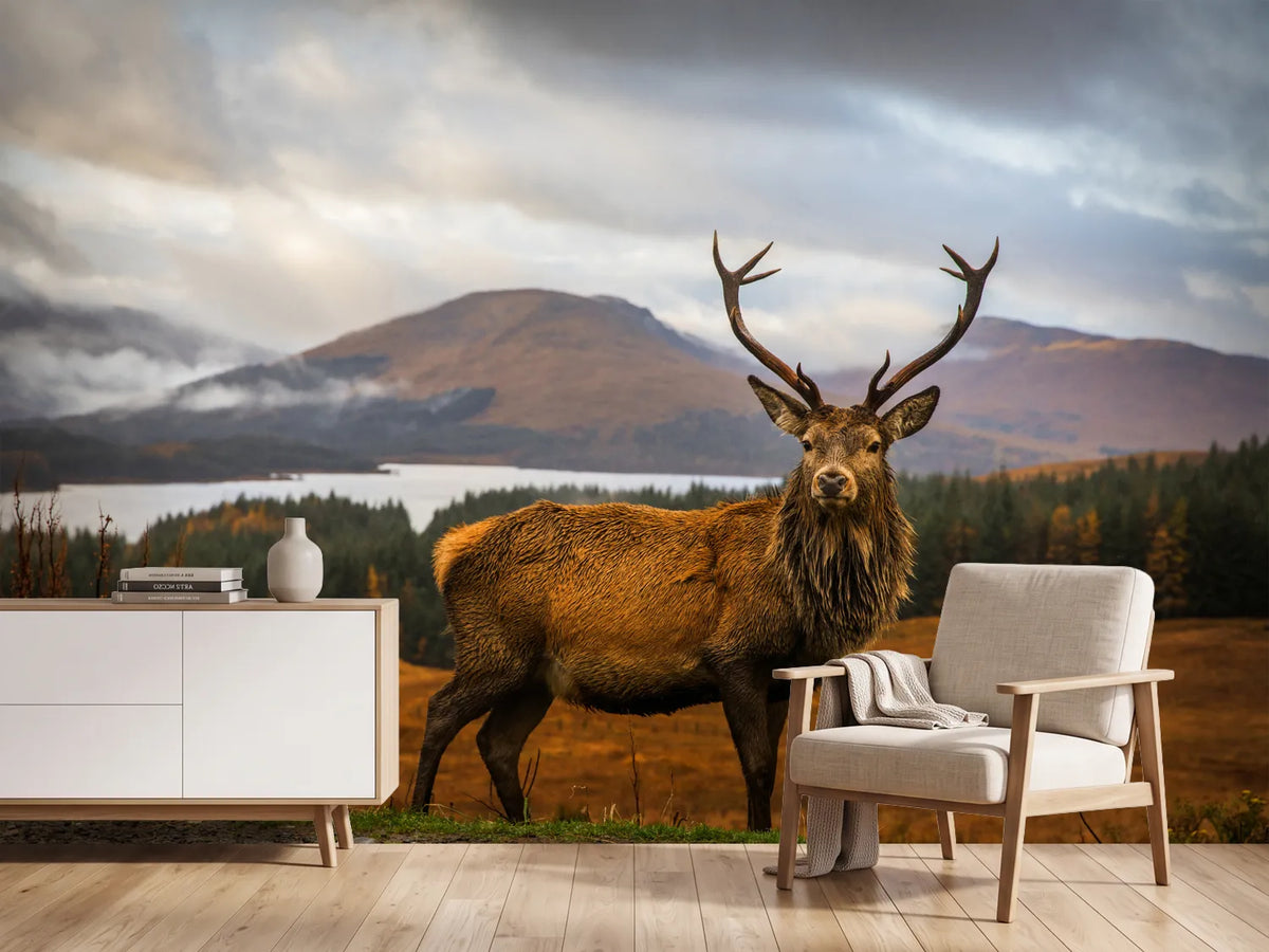 photo-wallpaper-scottish-stag