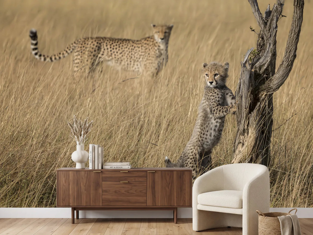 photo-wallpaper-curious-cub-in-savanna