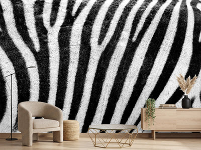 photo-wallpaper-strip-of-the-zebra