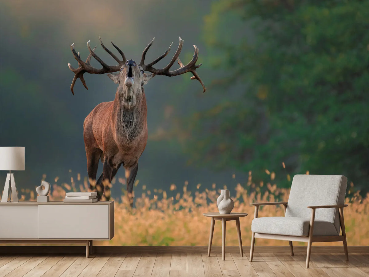 photo-wallpaper-deer-wedding-song-x