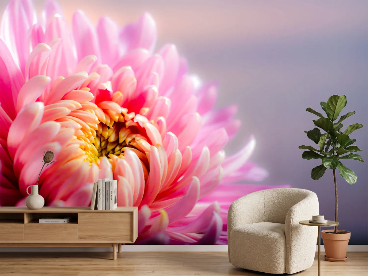 photo-wallpaper-macro-chrysanthemum