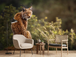 photo-wallpaper-lynx-fine-art-x