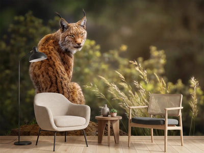 photo-wallpaper-lynx-fine-art-x