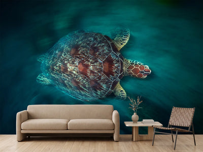 photo-wallpaper-valocity-turtle