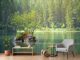 photo-wallpaper-the-pond-in-the-forest