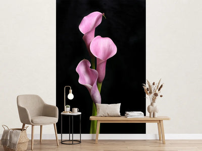 photo-wallpaper-3-purple-callas