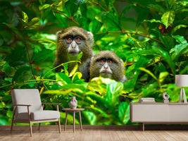 photo-wallpaper-blue-monkey-x