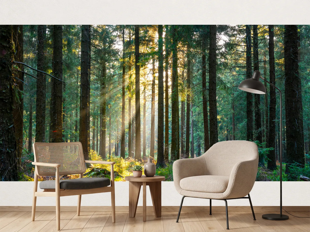 photo-wallpaper-silent-forest-in-spring-with-beautiful-bright-sun-rays-2