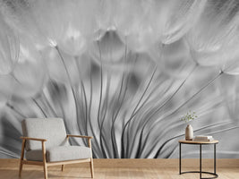 photo-wallpaper-dream-xir