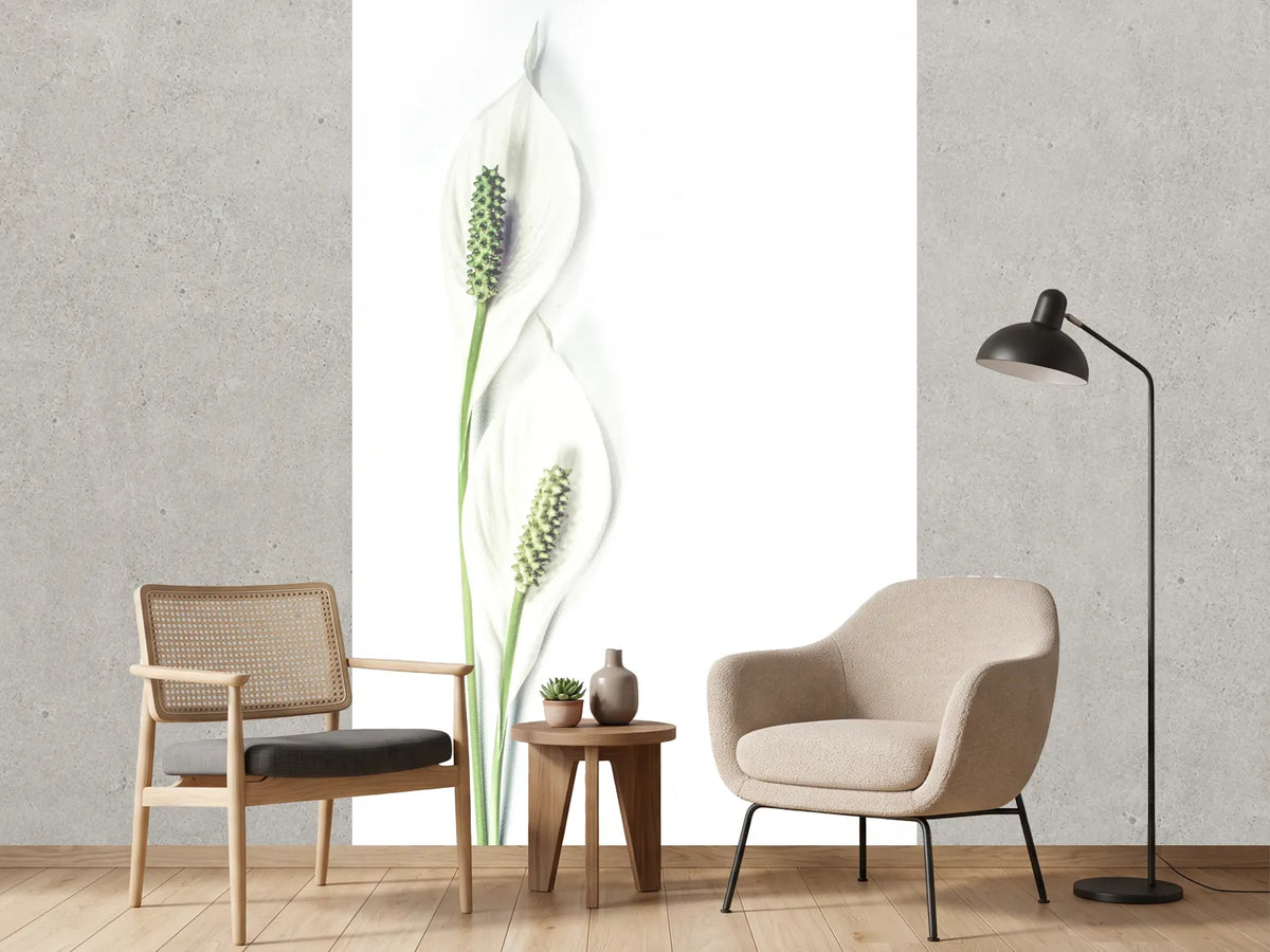 photo-wallpaper-lily-seed-pods
