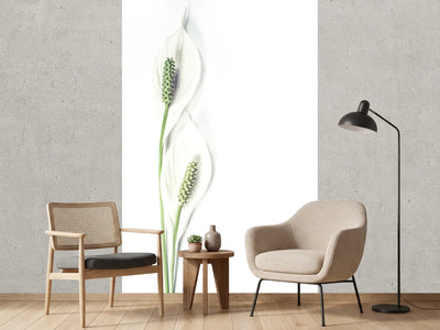 photo-wallpaper-lily-seed-pods