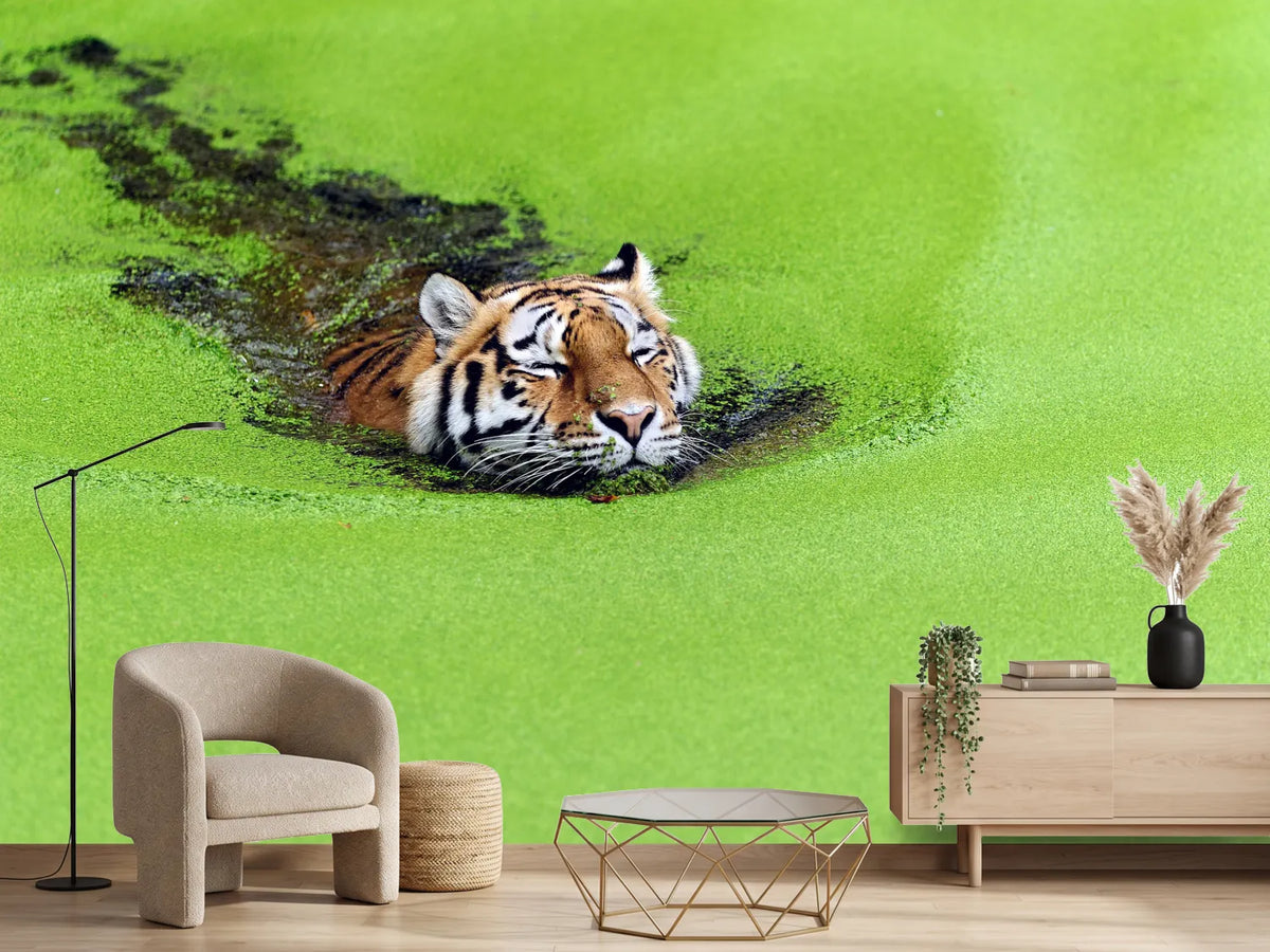 photo-wallpaper-relaxation-x