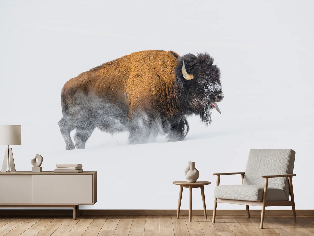 photo-wallpaper-bison-in-the-snow-x