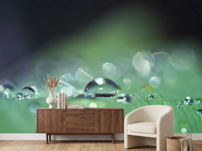 photo-wallpaper-drops-of-water-in-xxl