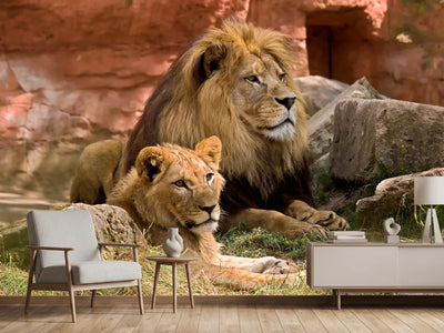 photo-wallpaper-a-lion-couple