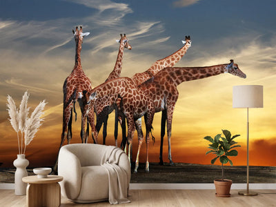 photo-wallpaper-girafe-at-sunset