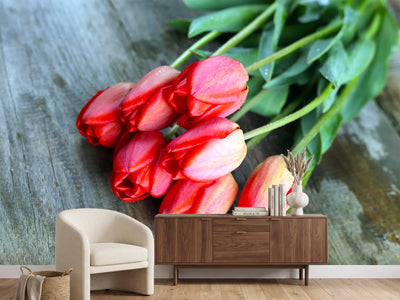 photo-wallpaper-the-red-tulip-bouquet